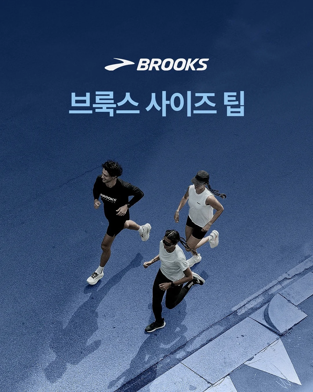 배추롤 1