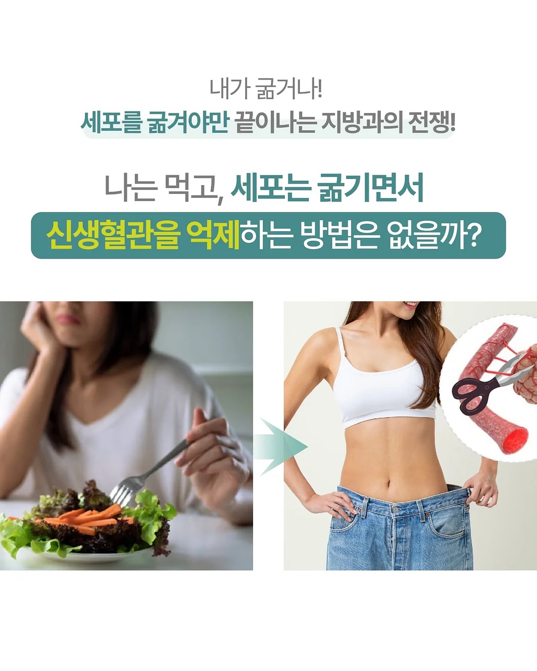 토미토 블루머 15