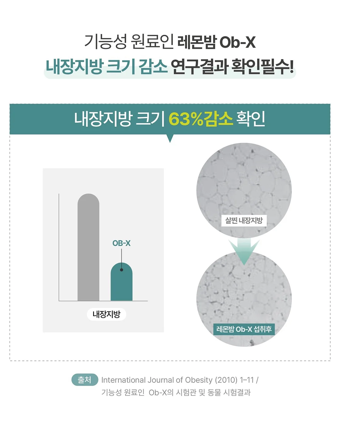 토미토 블루머 20