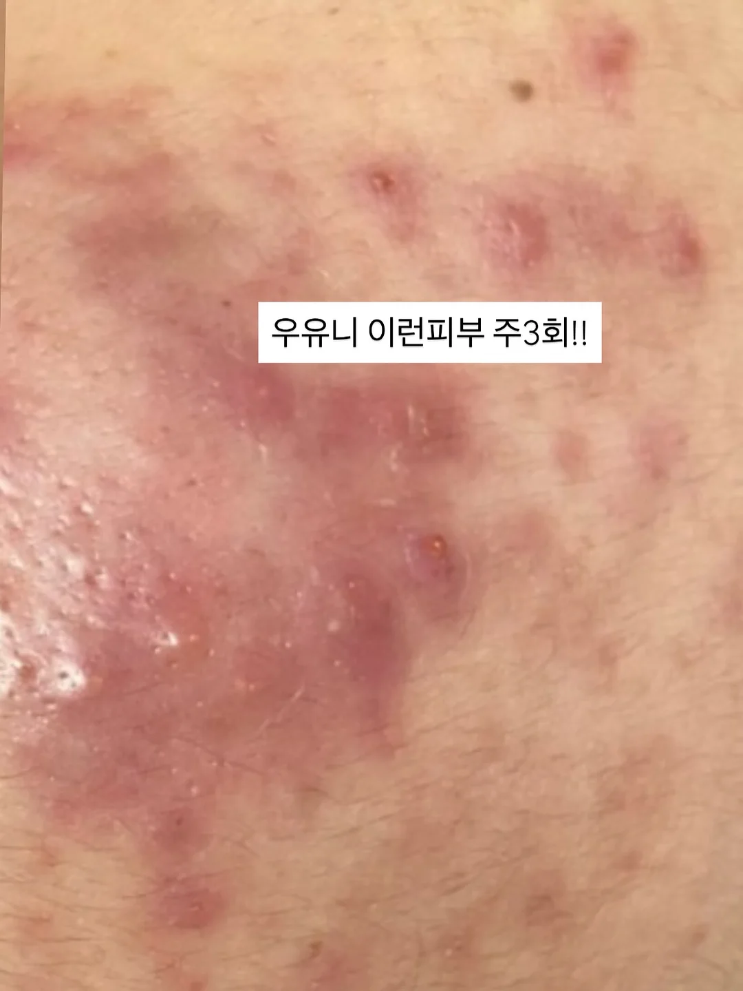 제작 가구 15