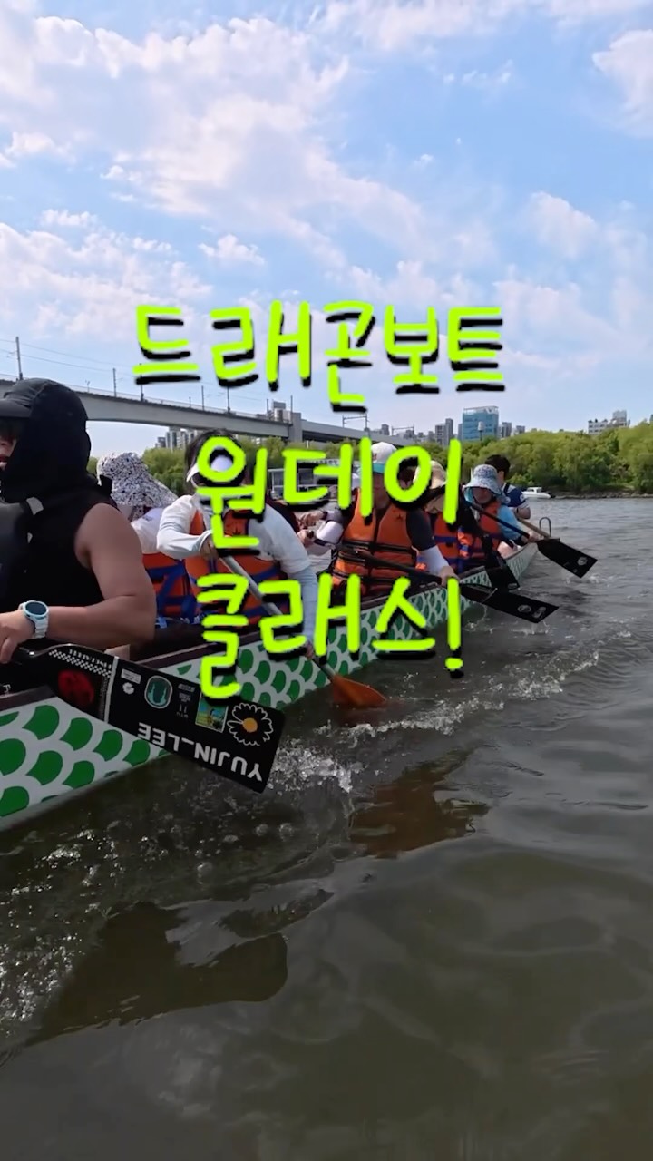 여름 쨍한 컬러 제품