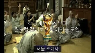 커브드 펩타이드 선세럼