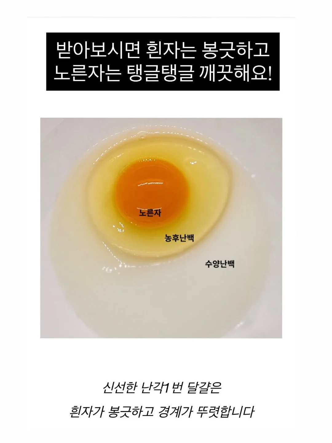 밀레 아동복 세트 11