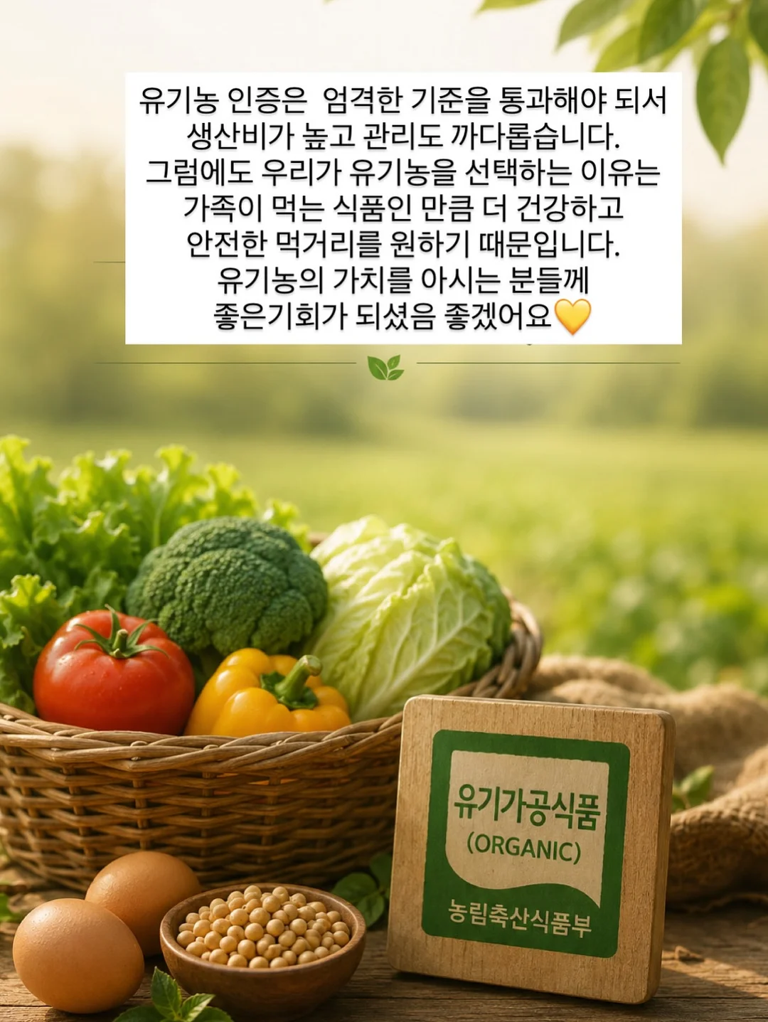 밀레 아동복 세트 13