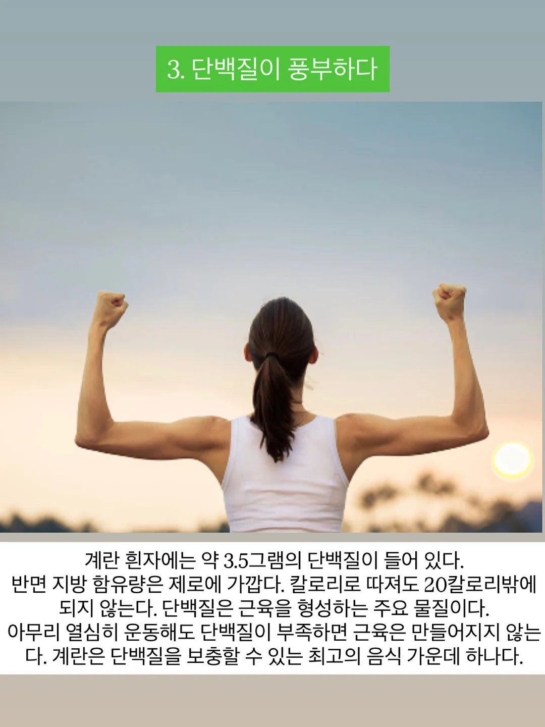 밀레 아동복 세트 5