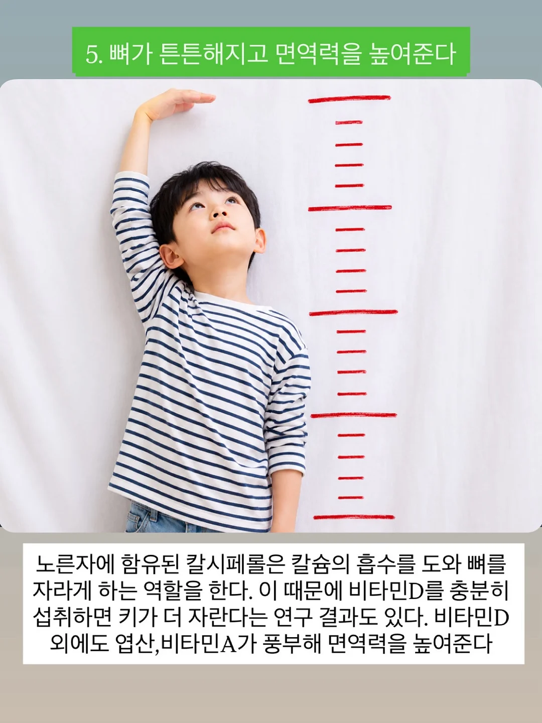 밀레 아동복 세트 7