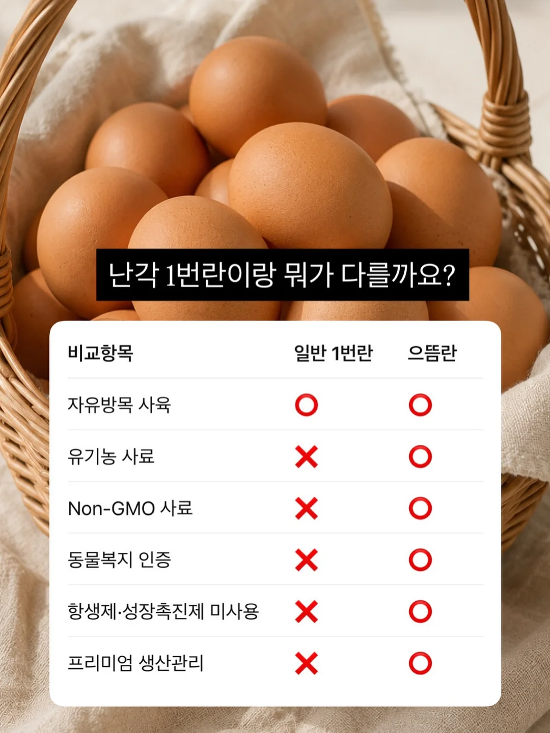 밀레 아동복 세트 9