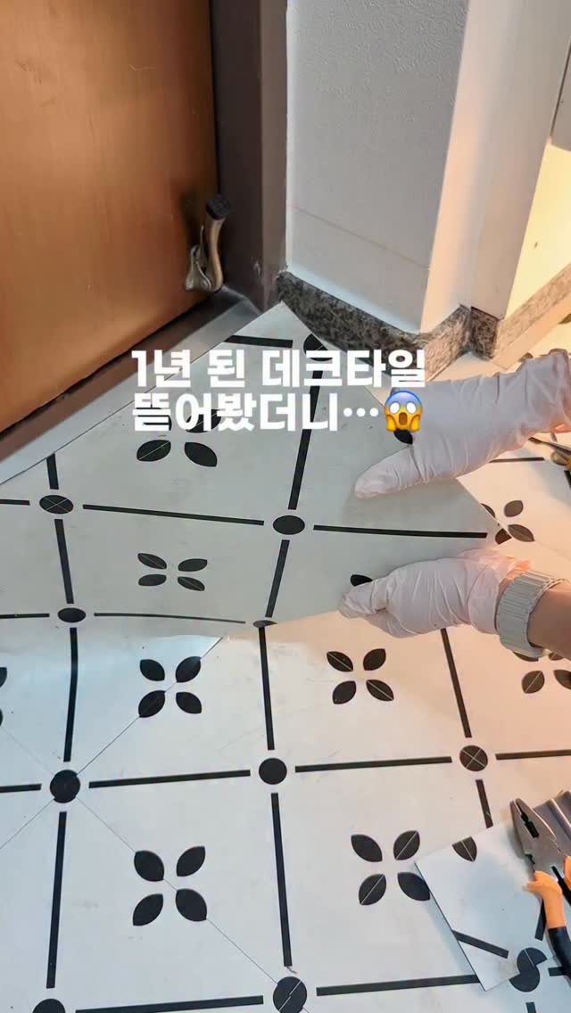 디나닥스 에너지 비타민 바