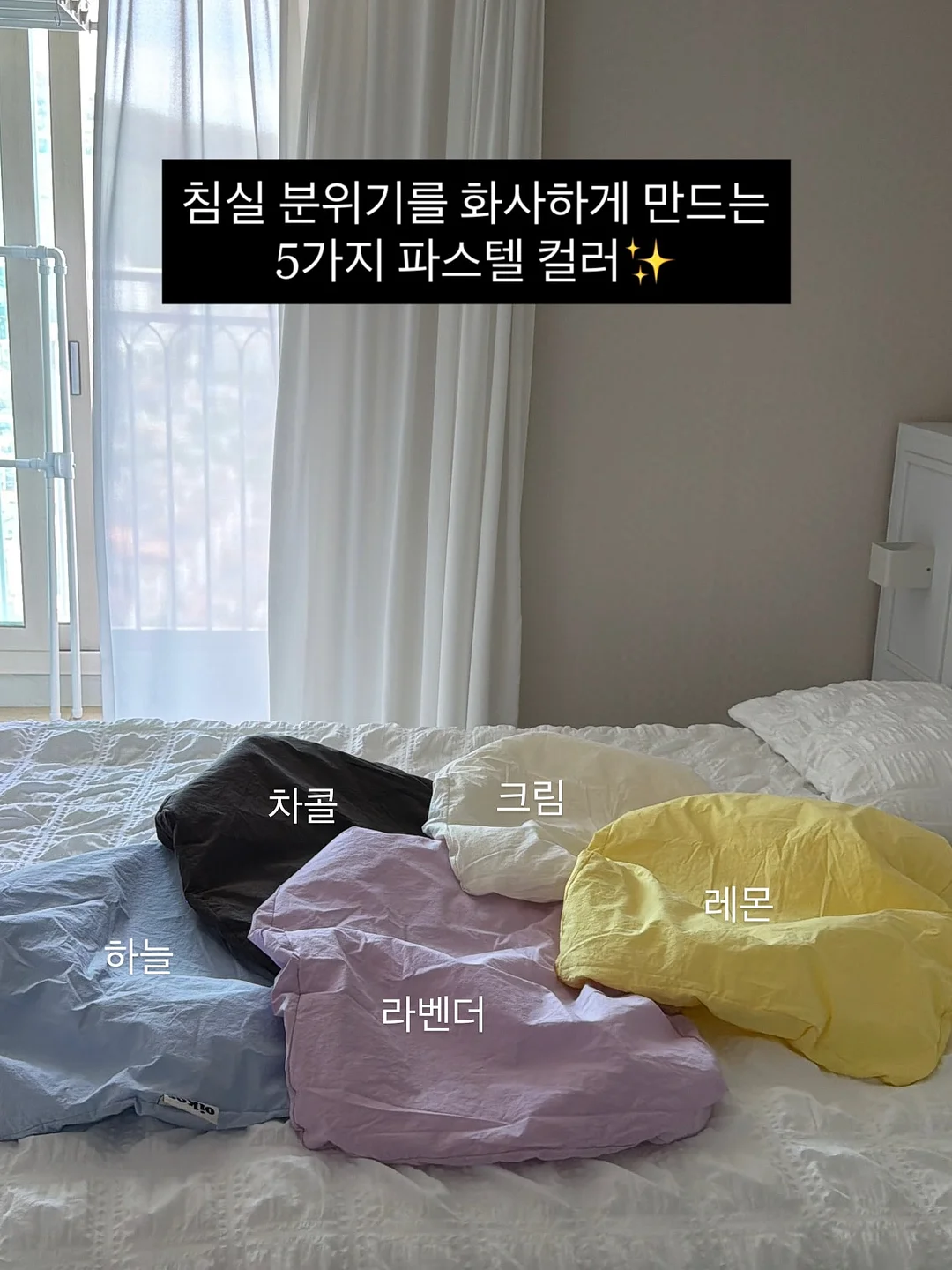 베티니트와 토론토팬츠 9