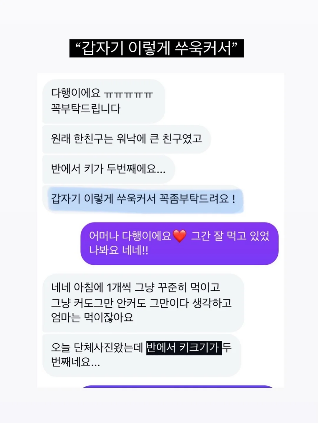 회전초밥 세팅 접시 19
