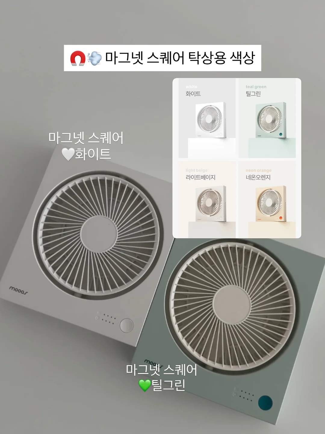 똥강아지 캔들 12