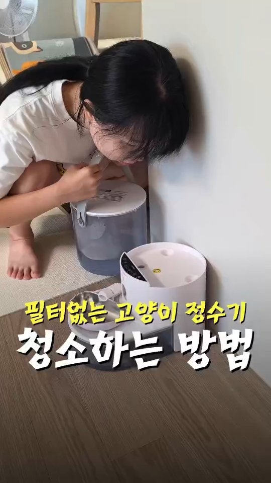 천연 허브 모기팔찌