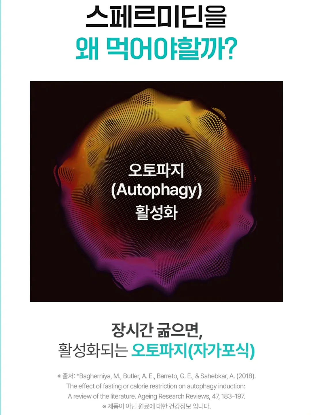 폴로 랄프로렌 린넨 셔츠 7