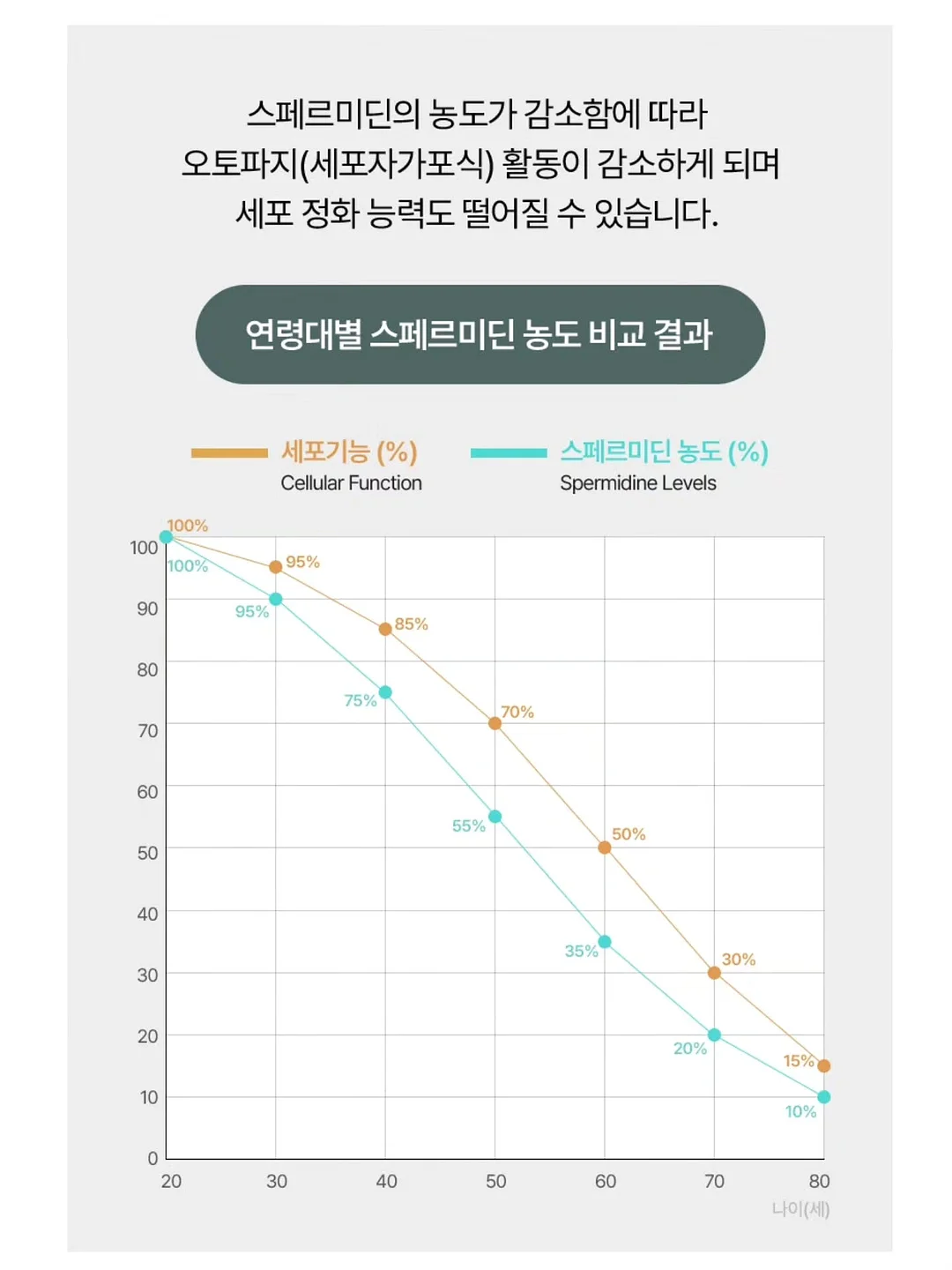 폴로 랄프로렌 린넨 셔츠 9