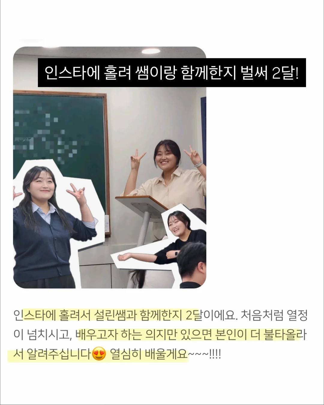 헤어린 티셔츠 2