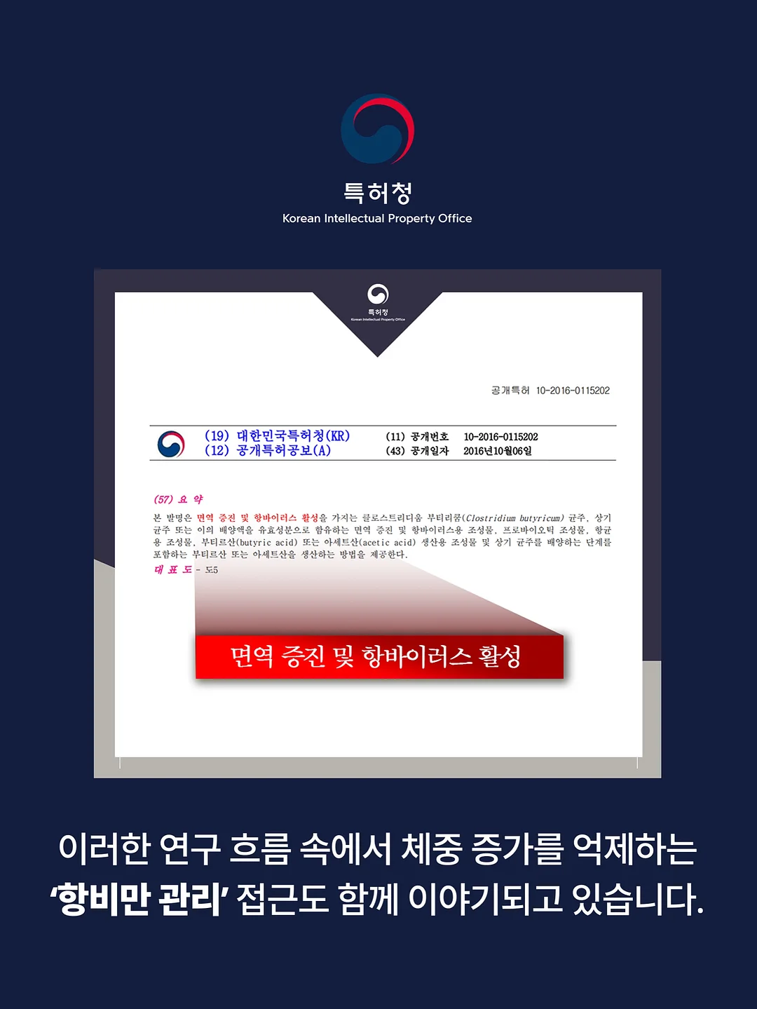 코페르 앰플 11