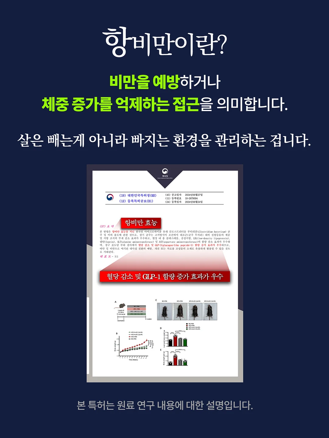 코페르 앰플 12