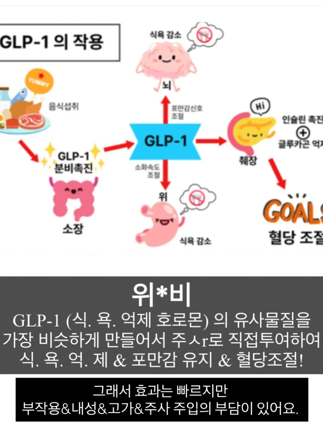 코페르 앰플 6