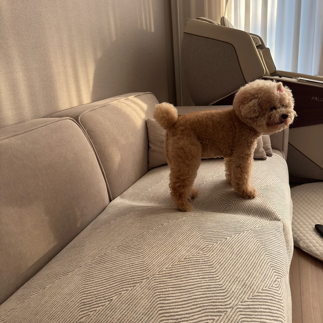 장애리의 인생레시피 2