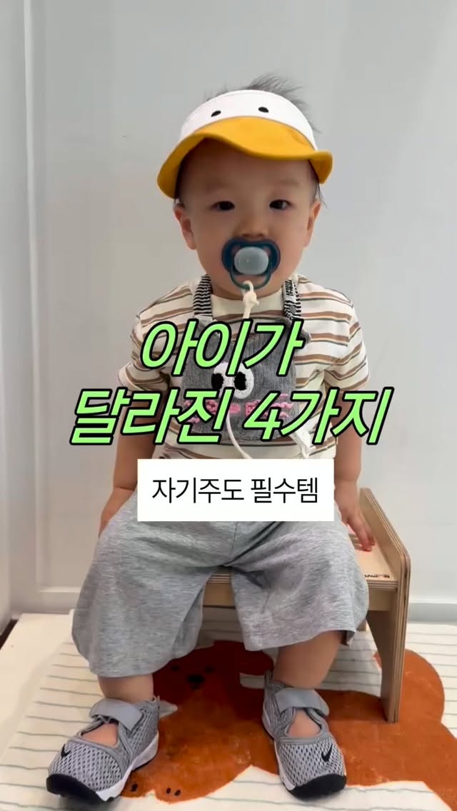 키위소르베
