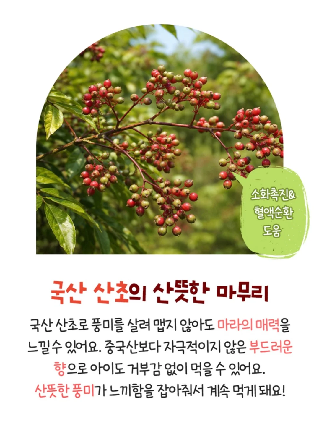 토스트 6