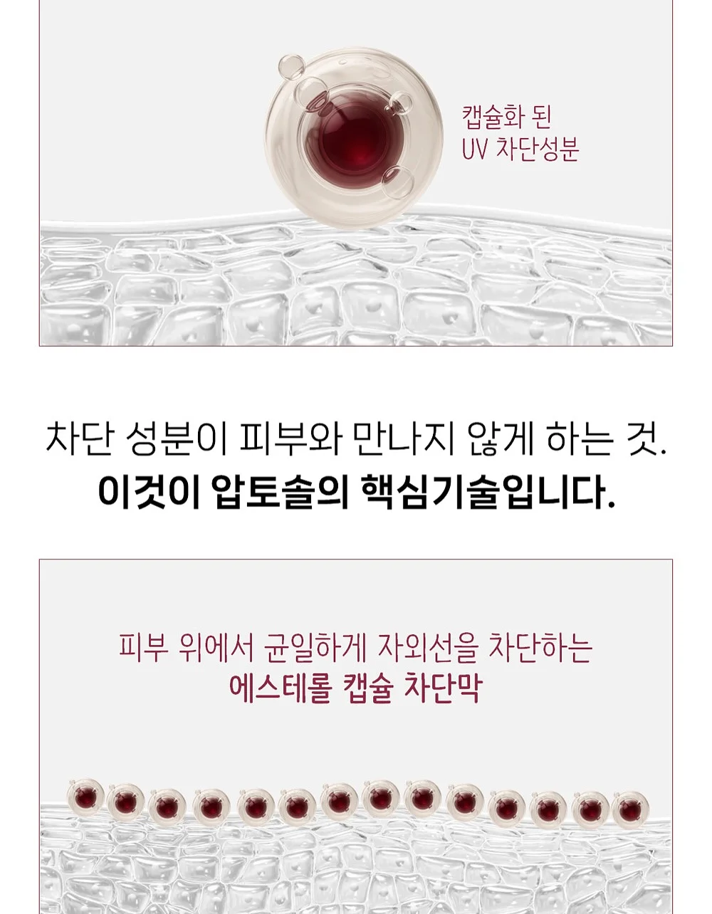금옥보감 6