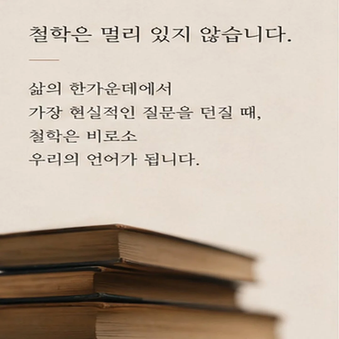 팬앤코 실링팬 6