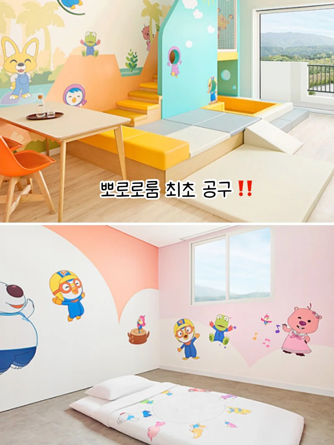 당일케이크 14