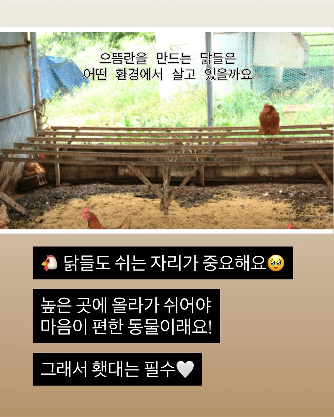 제미나이 주식투자 프롬프트 15