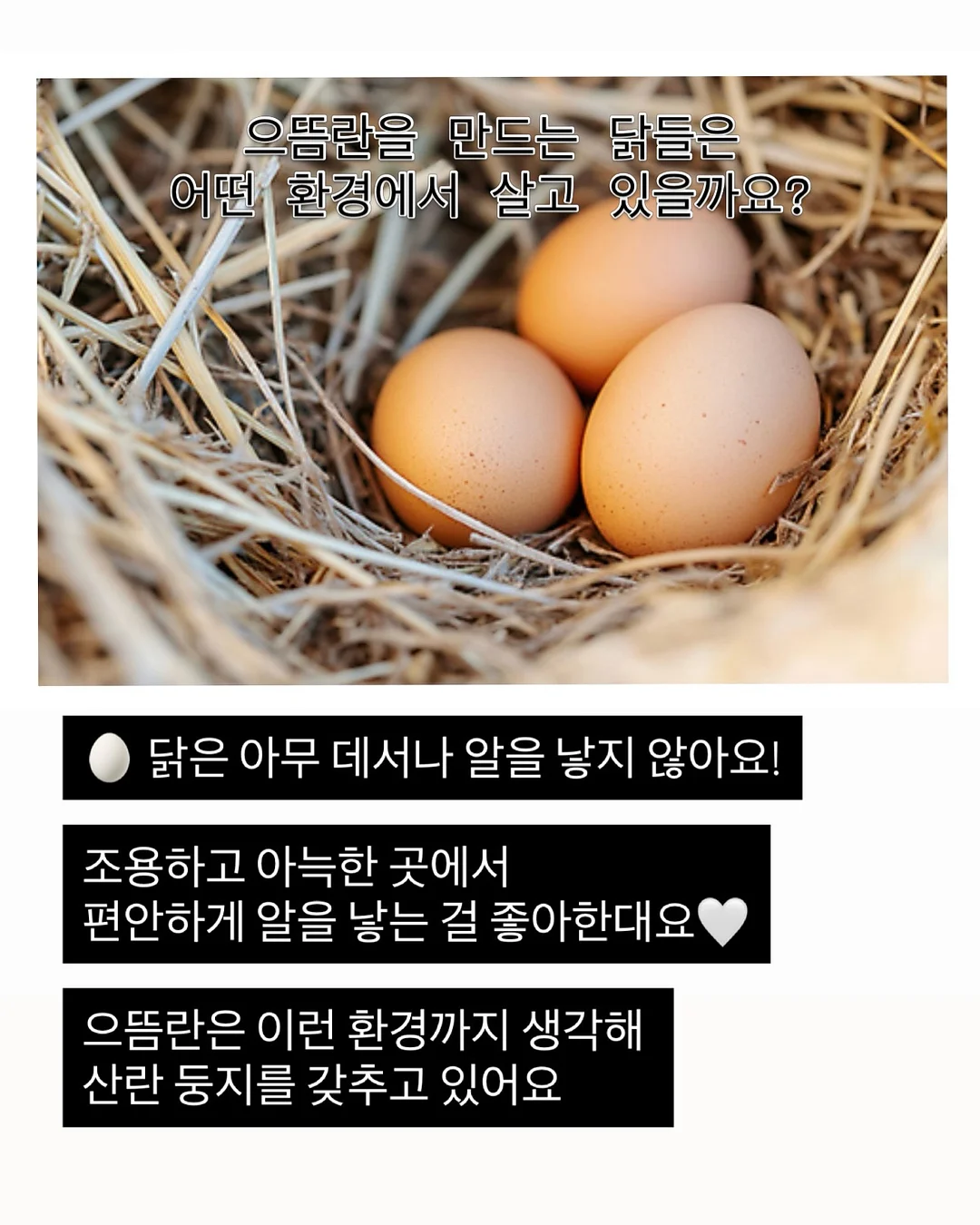 제미나이 주식투자 프롬프트 16