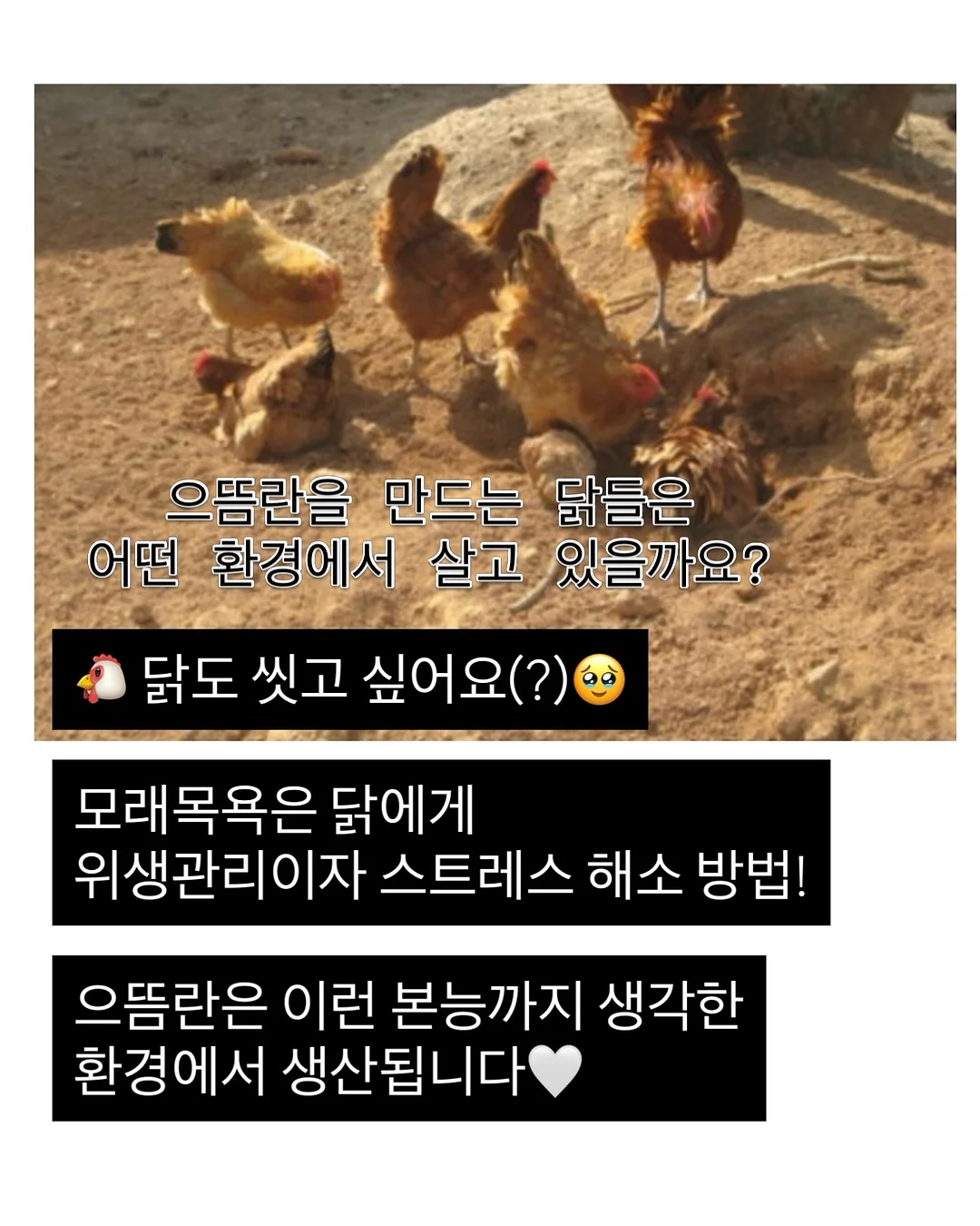 제미나이 주식투자 프롬프트 17