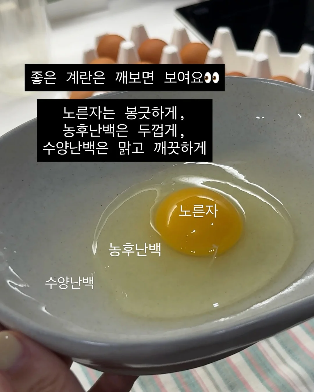 제미나이 주식투자 프롬프트 2