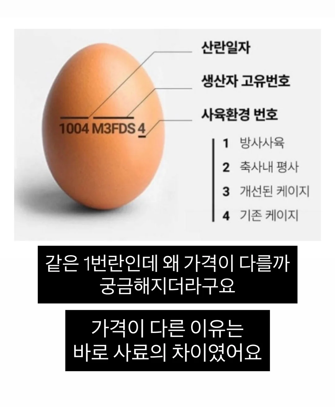 제미나이 주식투자 프롬프트 5