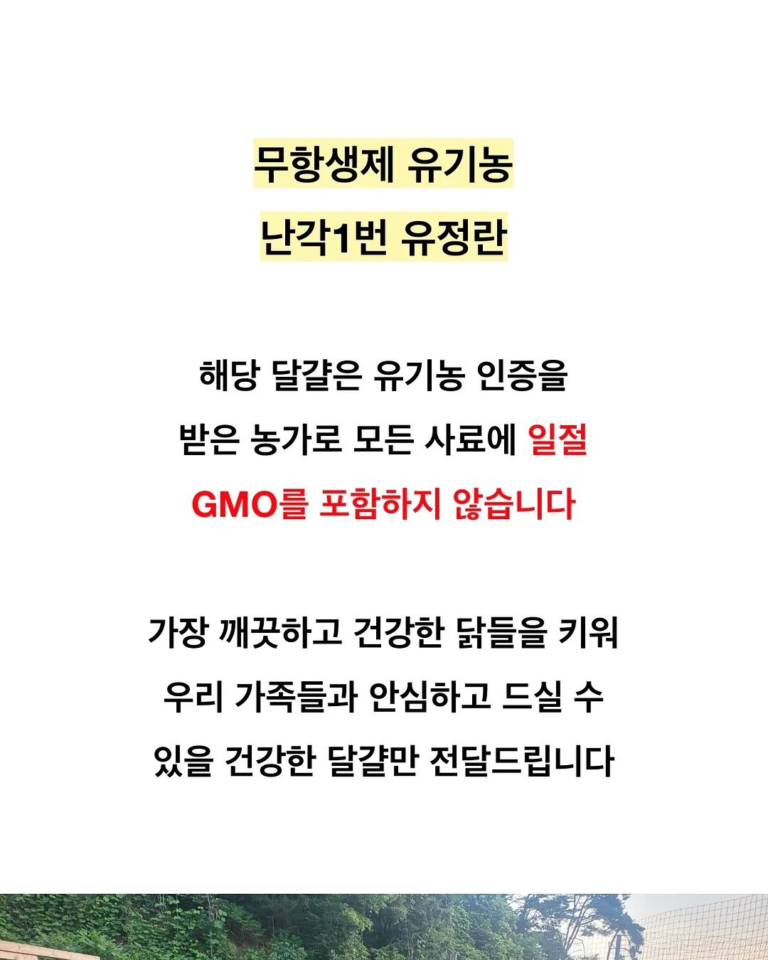 제미나이 주식투자 프롬프트 6