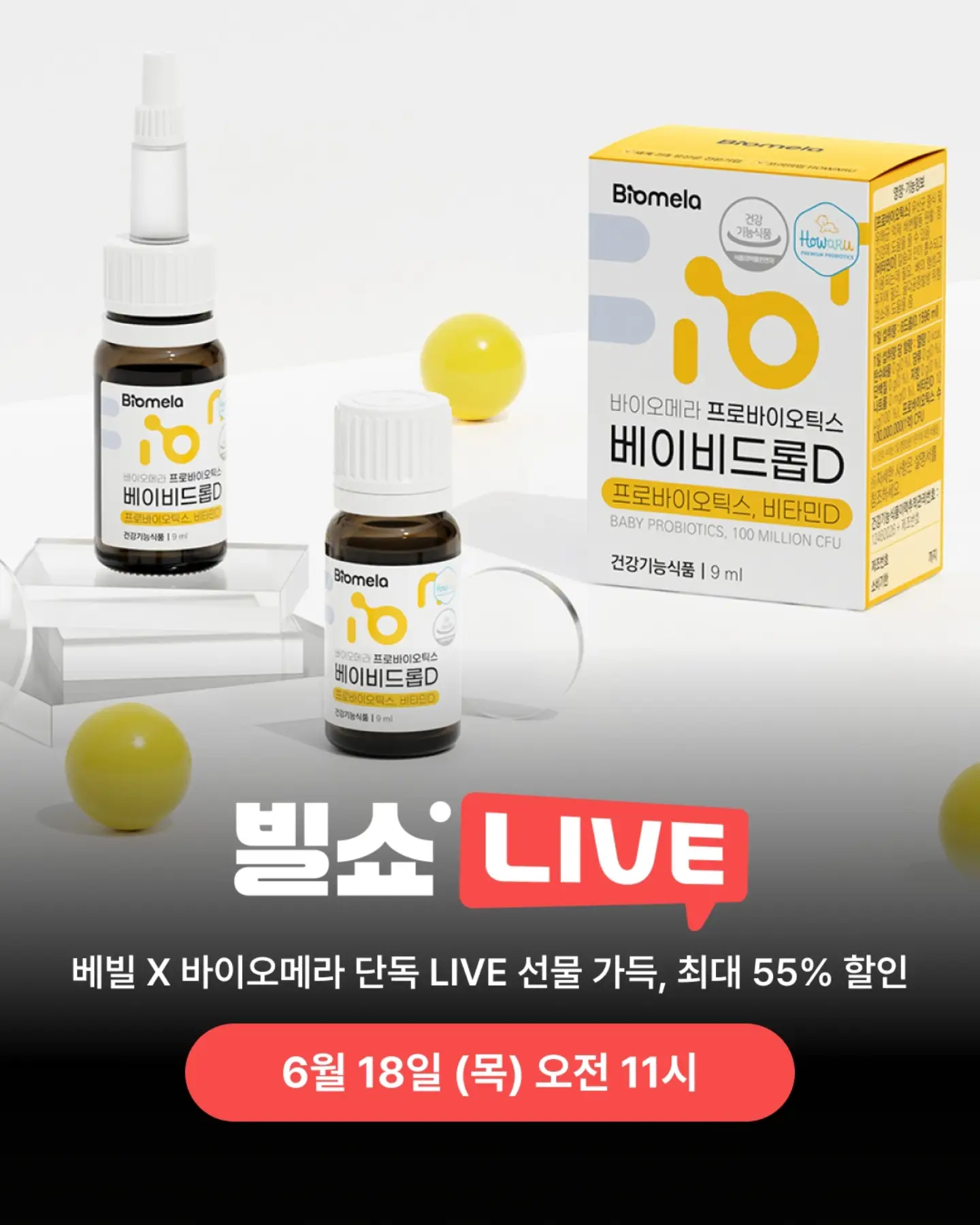 가든 블랭킷 패키지 1