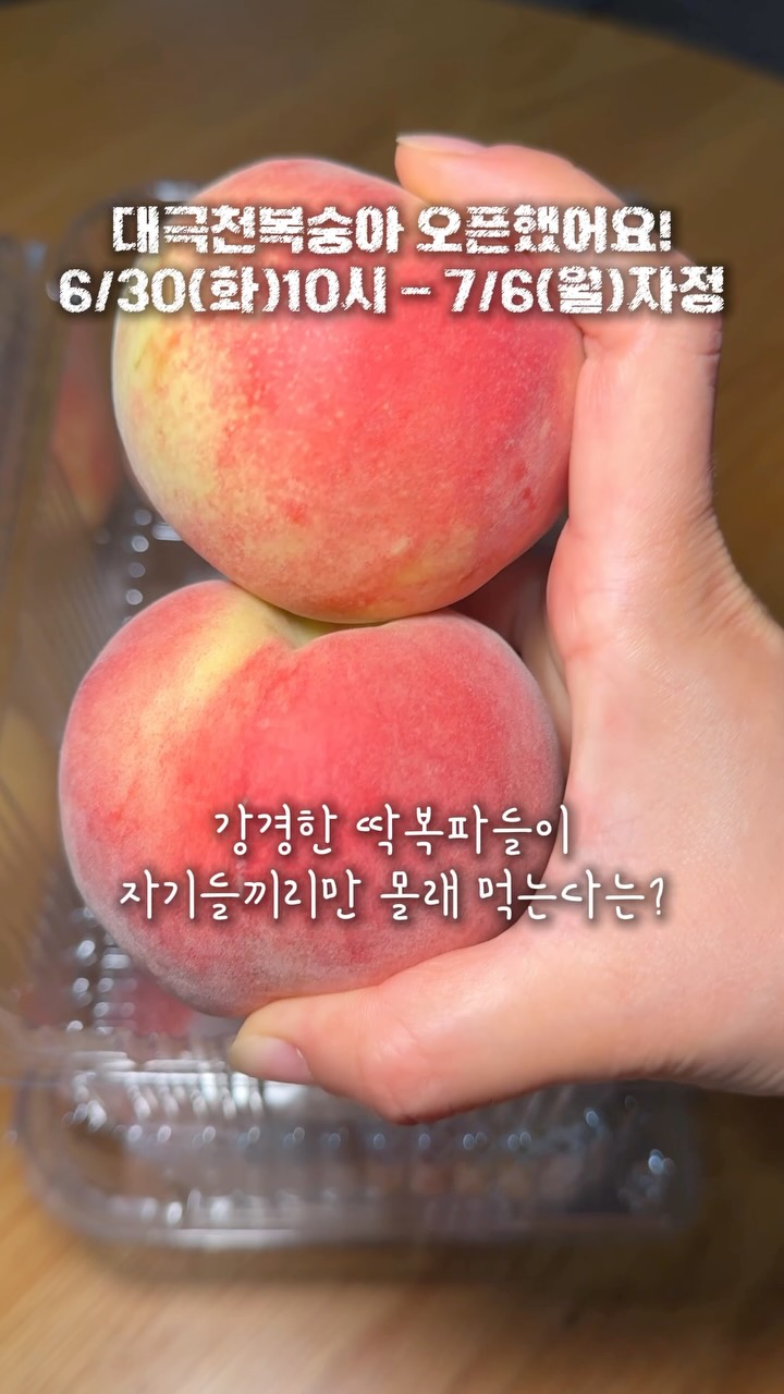 철분