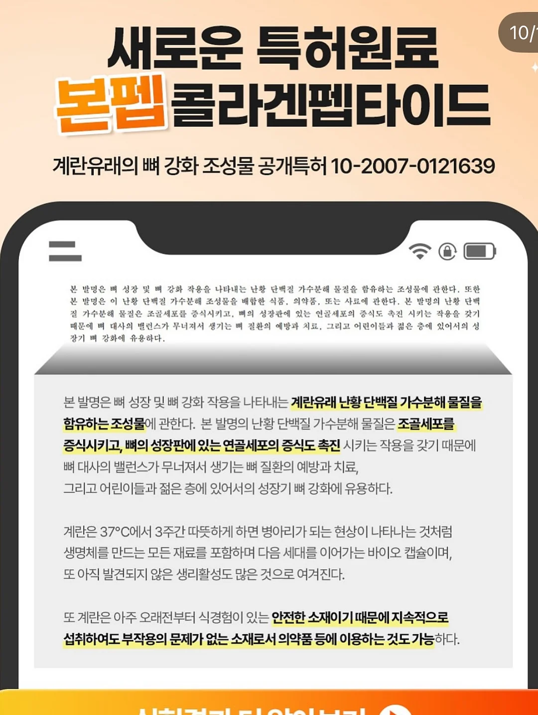 폴로 신형 포니 반팔 카라티 12