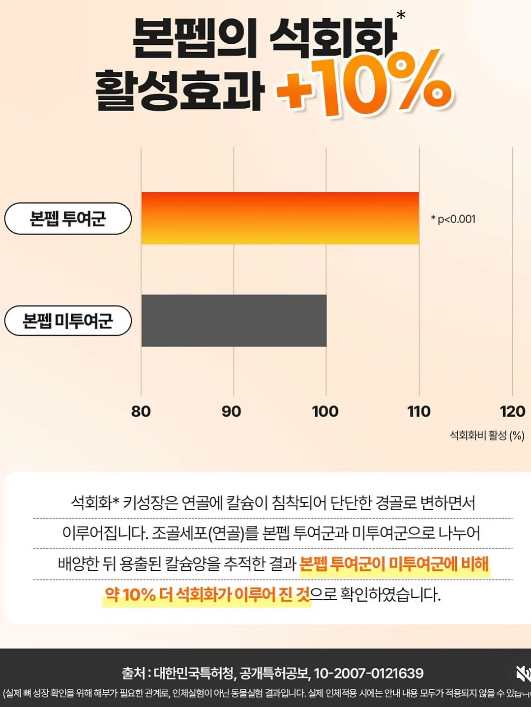 폴로 신형 포니 반팔 카라티 13