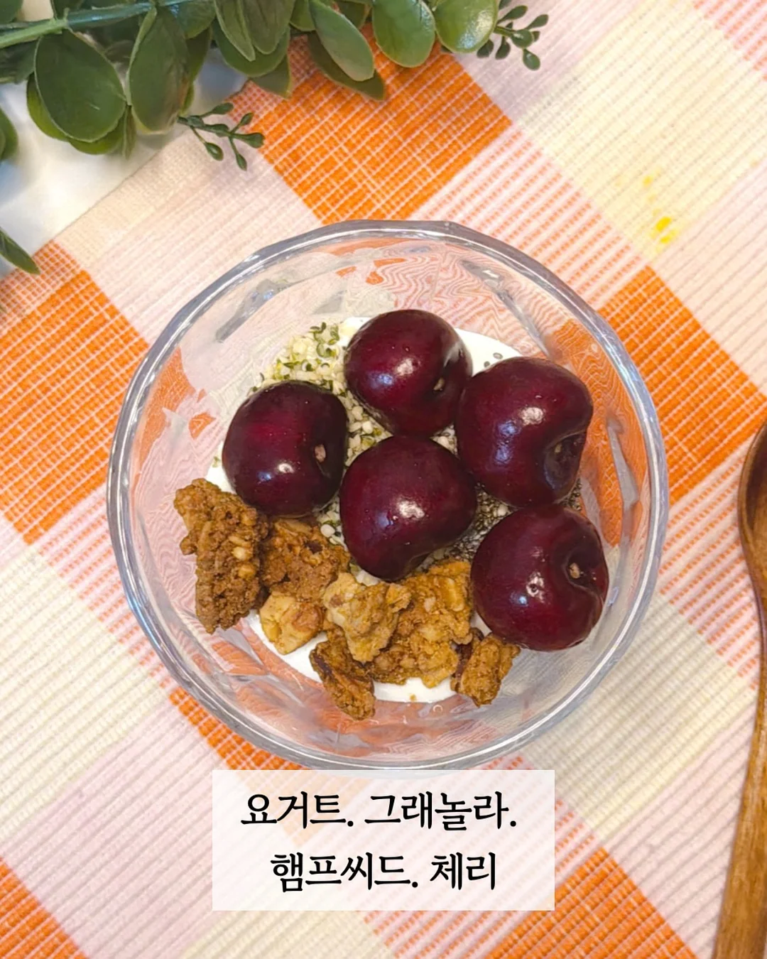 엘레나 피부 솔루션 2