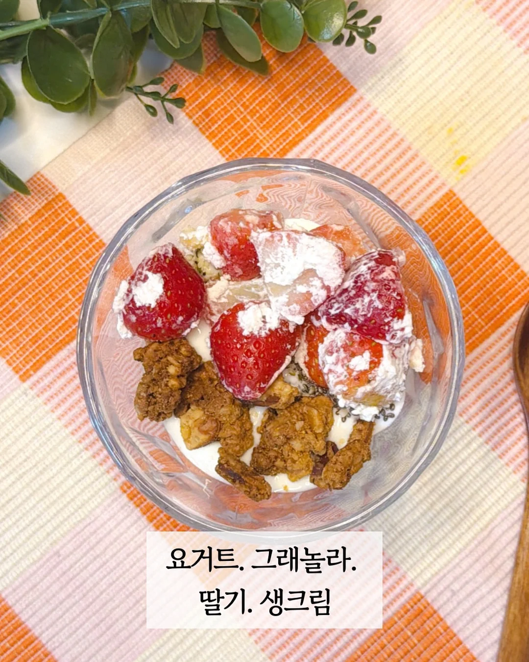 엘레나 피부 솔루션 3