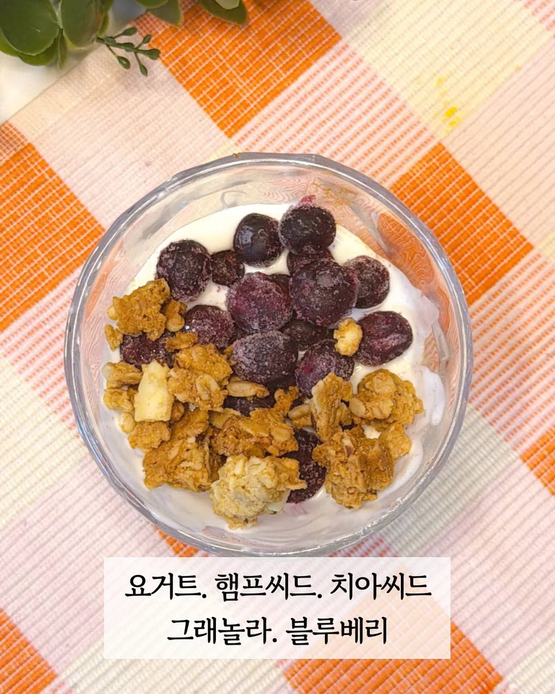 엘레나 피부 솔루션 4
