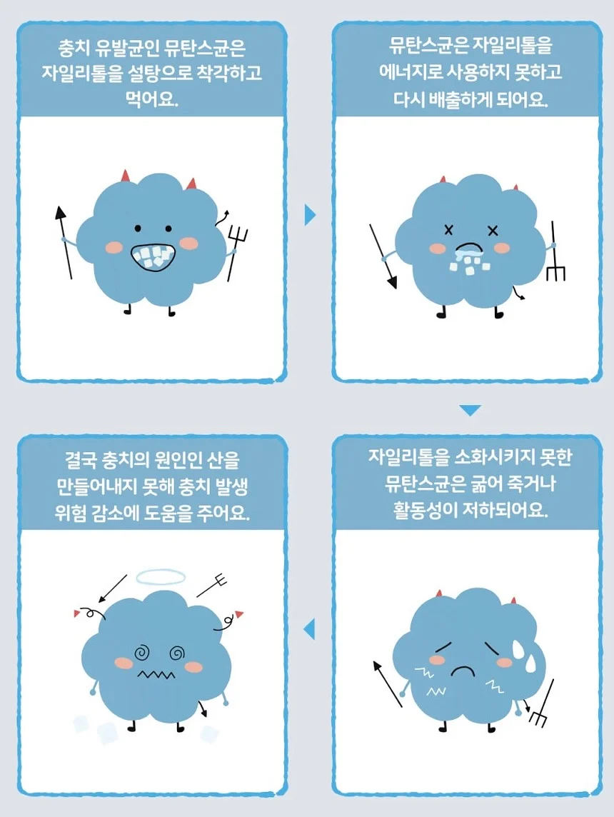글라스아트 자격증 과정 19