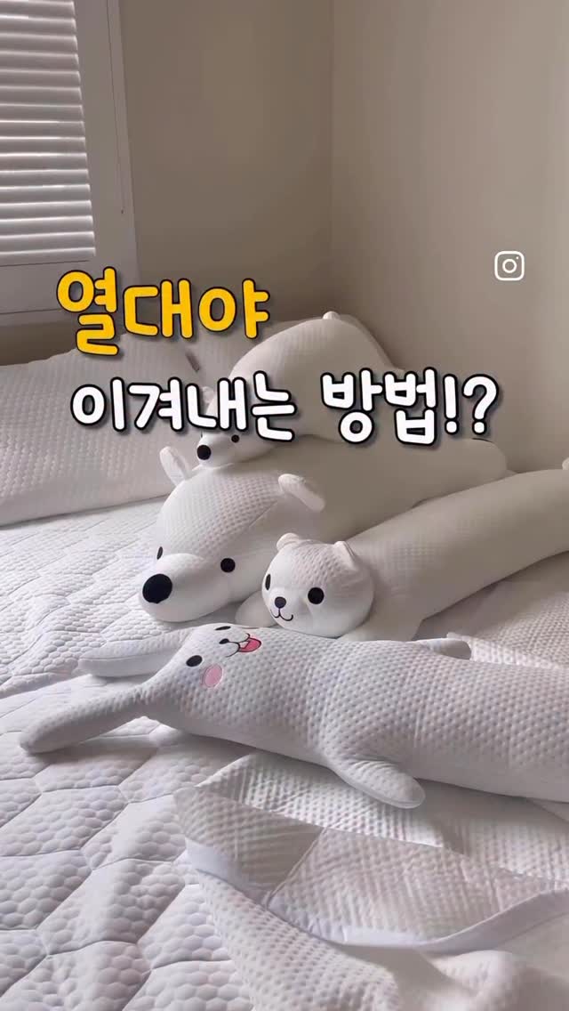 스엔스텔라 여름 빅세일
