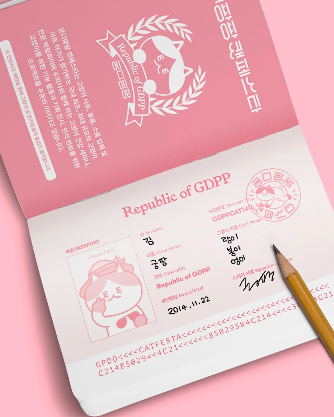 두피 브러쉬 3