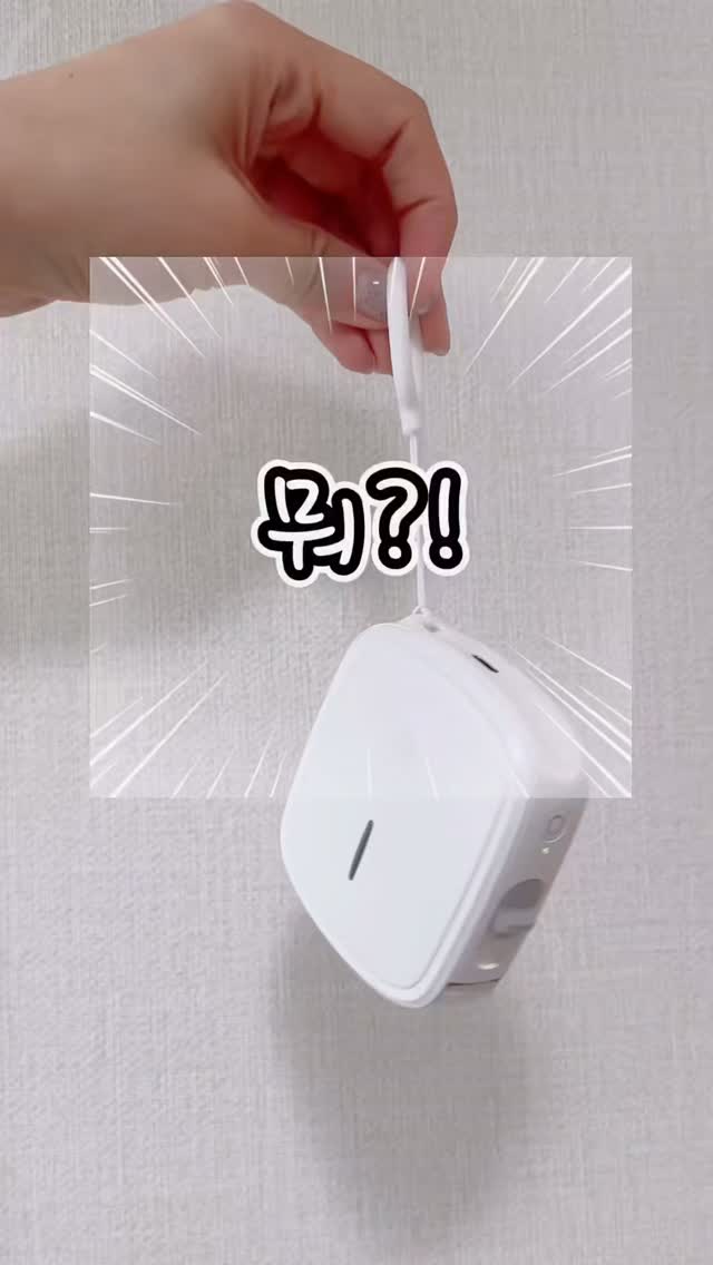 노우셔츠
