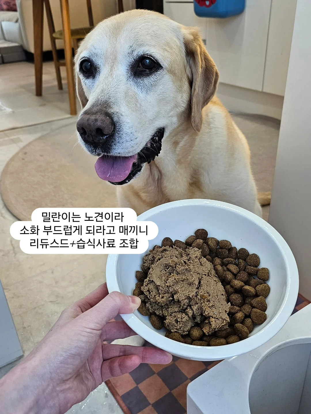 야마하 프로모션 3