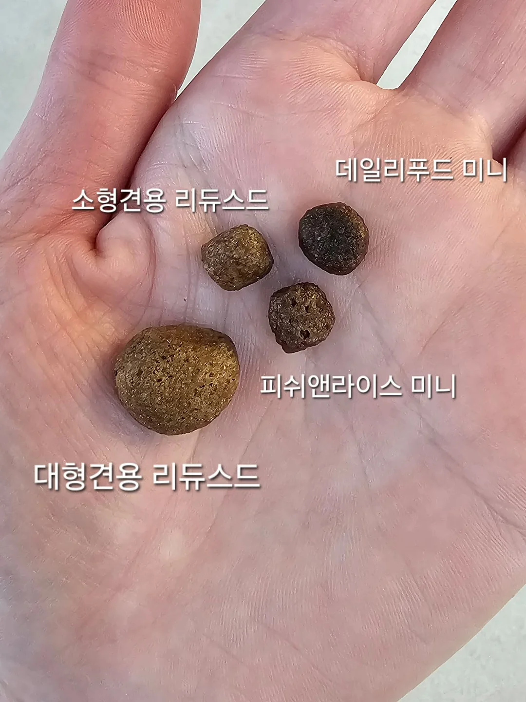 야마하 프로모션 5