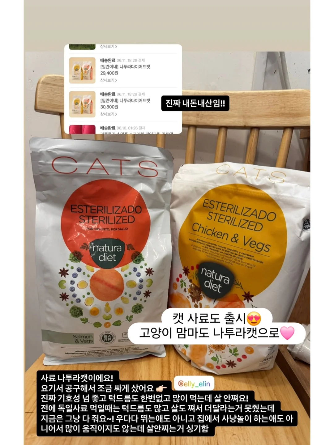 야마하 프로모션 6