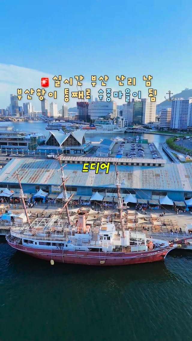 라이브오랄스 셀프투스바니쉬 불소도포제
