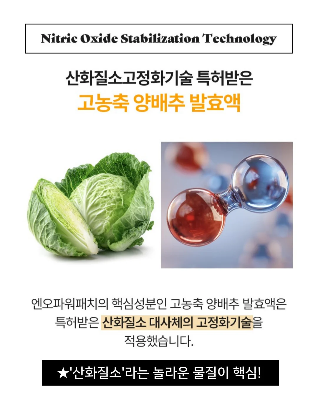 글렌다 애니와 레인보우 스트랩 6